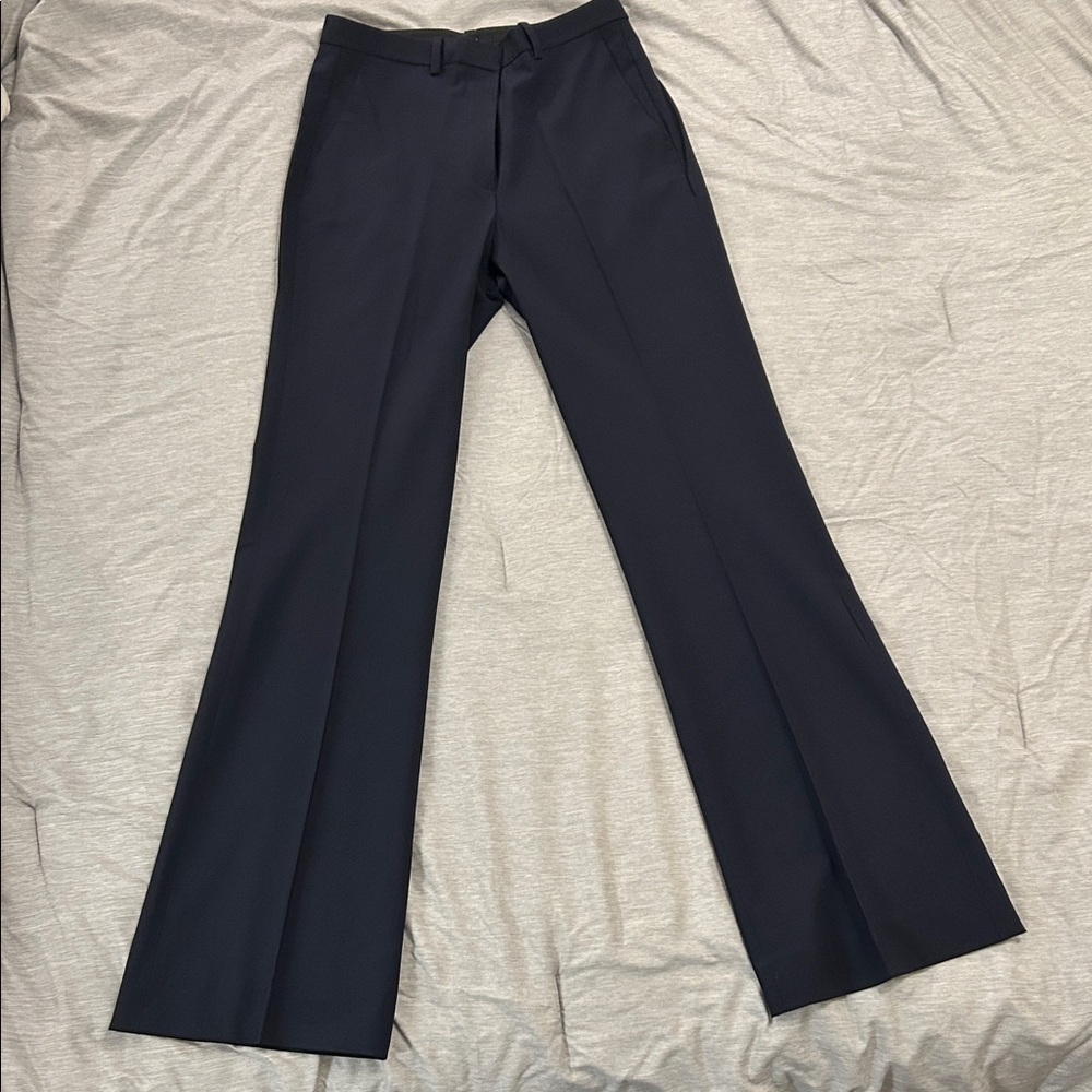 Theory size 2 Navy Suitpants